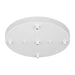 Myhouse Lighting Generation Lighting - 7449405-15 - Five Light Cluster Canopy - Multi-Port Canopy - White