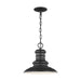 Myhouse Lighting Generation Lighting - OL8904TXB - One Light Outdoor Pendant - Redding Station - Textured Black