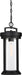 Myhouse Lighting Nuvo Lighting - 60-6504 - One Light Hanging Lantern - Huron - Aged Bronze / Clear