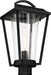 Myhouse Lighting Nuvo Lighting - 60-6513 - One Light Post Lantern - Lakeview - Aged Bronze / Clear