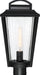 Myhouse Lighting Nuvo Lighting - 60-6513 - One Light Post Lantern - Lakeview - Aged Bronze / Clear