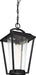 Myhouse Lighting Nuvo Lighting - 60-6514 - One Light Hanging Lantern - Lakeview - Aged Bronze / Clear