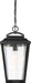 Myhouse Lighting Nuvo Lighting - 60-6514 - One Light Hanging Lantern - Lakeview - Aged Bronze / Clear