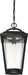 Myhouse Lighting Nuvo Lighting - 60-6514 - One Light Hanging Lantern - Lakeview - Aged Bronze / Clear