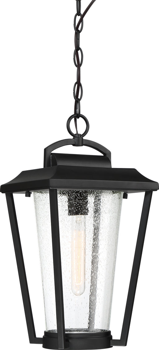 Myhouse Lighting Nuvo Lighting - 60-6514 - One Light Hanging Lantern - Lakeview - Aged Bronze / Clear