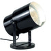 Myhouse Lighting Nuvo Lighting - SF77-394 - One Light Plant Lamp - Black/steel