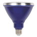 Myhouse Lighting Westinghouse Lighting - 3315100 - Light Bulb - Blue