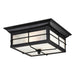 Myhouse Lighting Westinghouse Lighting - 6204800 - Two Light Flush Mount - Orwell - Textured Black