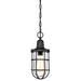 Myhouse Lighting Westinghouse Lighting - 6334800 - One Light Pendant - Crestview - Textured Black