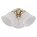 Myhouse Lighting Westinghouse Lighting - 7784500 - LED Ceiling Fan Light Kit - Polished Brass