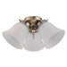 Myhouse Lighting Westinghouse Lighting - 7784800 - LED Ceiling Fan Light Kit - Antique Brass