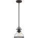 Myhouse Lighting Quoizel - GRTS1508PN - One Light Mini Pendant - Grant - Palladian Bronze