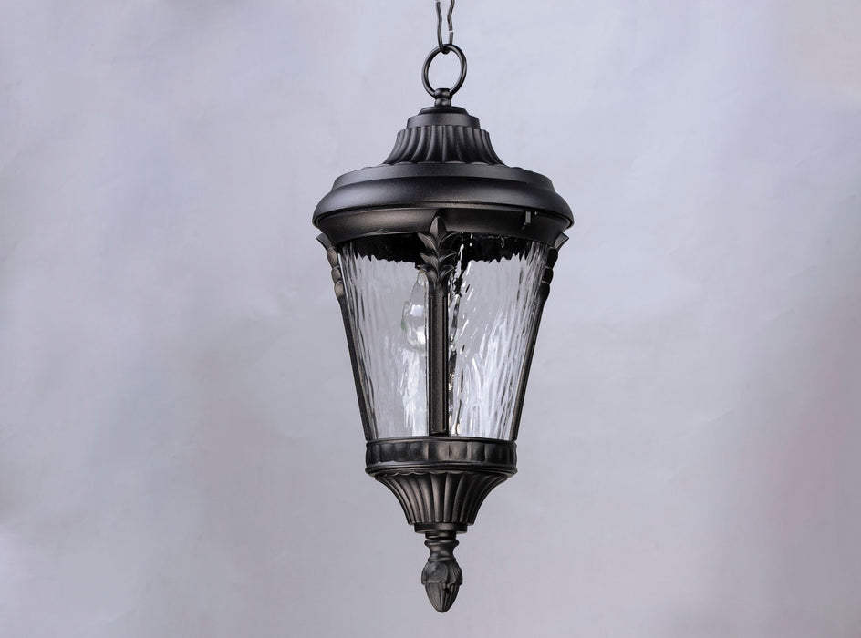 Myhouse Lighting Maxim - 3058WGBK - One Light Outdoor Hanging Lantern - Sentry - Black