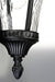 Myhouse Lighting Maxim - 3058WGBK - One Light Outdoor Hanging Lantern - Sentry - Black