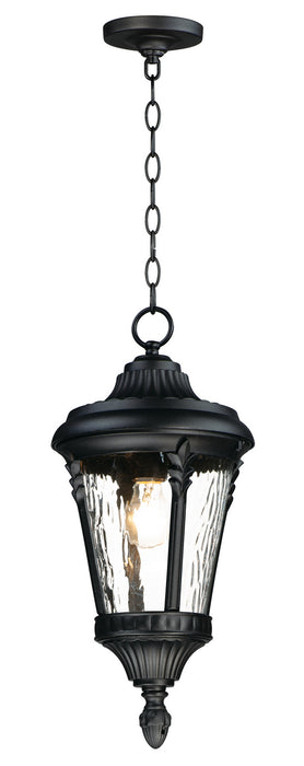 Myhouse Lighting Maxim - 3058WGBK - One Light Outdoor Hanging Lantern - Sentry - Black