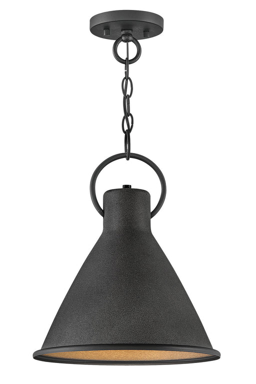 Myhouse Lighting Hinkley - 3557DZ - LED Pendant - Winnie - Aged Zinc