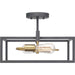 Myhouse Lighting Progress Lighting - P350120-143 - Two Light Semi-Flush Convertible - Blakely - Graphite