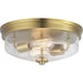 Myhouse Lighting Progress Lighting - P350121-109 - Two Light Flush Mount - Blakely - Brushed Bronze