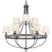 Myhouse Lighting Progress Lighting - P400159-143 - Nine Light Chandelier - Gulliver - Graphite