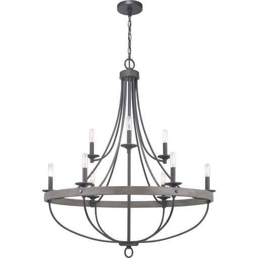 Myhouse Lighting Progress Lighting - P400159-143 - Nine Light Chandelier - Gulliver - Graphite