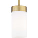 Myhouse Lighting Progress Lighting - P500151-109 - One Light Mini-Pendant - Elevate - Brushed Bronze