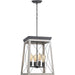 Myhouse Lighting Progress Lighting - P500178-143 - Four Light Foyer Pendant - Briarwood - Graphite