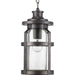 Myhouse Lighting Progress Lighting - P550031-103 - One Light Hanging Lantern - Haslett - Antique Pewter