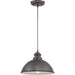 Myhouse Lighting Progress Lighting - P550032-103 - One Light Hanging Lantern - Englewood - Antique Pewter