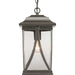 Myhouse Lighting Progress Lighting - P550040-020 - One Light Hanging Lantern - Abbott - Antique Bronze