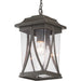 Myhouse Lighting Progress Lighting - P550040-020 - One Light Hanging Lantern - Abbott - Antique Bronze