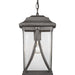 Myhouse Lighting Progress Lighting - P550040-103 - One Light Hanging Lantern - Abbott - Antique Pewter