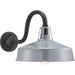 Myhouse Lighting Progress Lighting - P560091-082 - One Light Wall Lantern - Cedar Springs - Metallic Gray