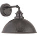 Myhouse Lighting Progress Lighting - P560098-020 - One Light Wall Lantern - Englewood - Antique Bronze