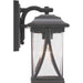 Myhouse Lighting Progress Lighting - P560113-020 - One Light Wall Lantern - Abbott - Antique Bronze