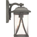 Myhouse Lighting Progress Lighting - P560113-103 - One Light Wall Lantern - Abbott - Antique Pewter