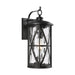 Myhouse Lighting Generation Lighting - OL15202ANBZ - One Light Outdoor Wall Lantern - Millbrooke - Antique Bronze