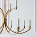 Myhouse Lighting Visual Comfort Studio - CC10612ADB - 12 Light Chandelier - Westerly - Antique Gild