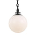 Myhouse Lighting Visual Comfort Studio - TP1031AI - One Light Pendant - Capri - Aged Iron