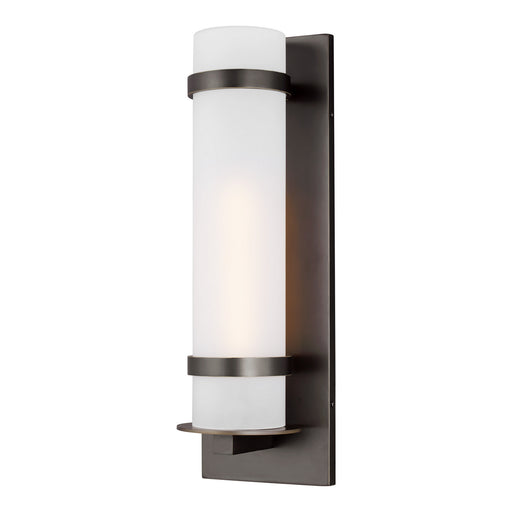 Myhouse Lighting Generation Lighting - 8718301-71 - One Light Outdoor Wall Lantern - Alban - Antique Bronze