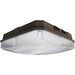 Myhouse Lighting Nuvo Lighting - 65-142 - LED Canopy Fixture - Bronze