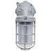 Myhouse Lighting Nuvo Lighting - 65-171 - LED Adjustable Vapor Tight - Gray