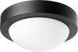 Myhouse Lighting Quorum - 3505-9-69 - One Light Wall Mount - 3505 Contempo Ceiling Mounts - Textured Black