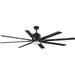 Myhouse Lighting Progress Lighting - P2550-3130K - 72"Ceiling Fan - Vast - Black