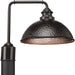 Myhouse Lighting Progress Lighting - P540032-020 - One Light Post Lantern - Englewood - Antique Bronze