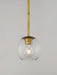 Myhouse Lighting Maxim - 38419CLNAB - One Light Pendant - Branch - Natural Aged Brass