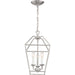 Myhouse Lighting Quoizel - AVY5203BN - Three Light Foyer Pendant - Aviary - Brushed Nickel