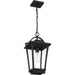 Myhouse Lighting Quoizel - DRS1911EK - One Light Outdoor Hanging Lantern - Darius - Earth Black