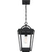 Myhouse Lighting Quoizel - DRS1911EK - One Light Outdoor Hanging Lantern - Darius - Earth Black