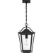 Myhouse Lighting Quoizel - DRS1911EK - One Light Outdoor Hanging Lantern - Darius - Earth Black