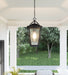 Myhouse Lighting Quoizel - DRS1911EK - One Light Outdoor Hanging Lantern - Darius - Earth Black